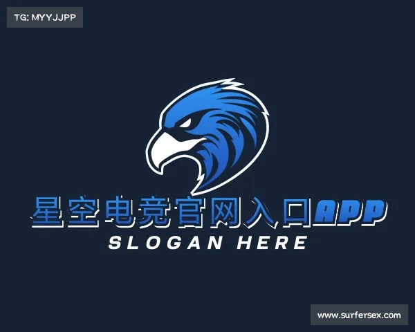 关于星空电竞官网入口app